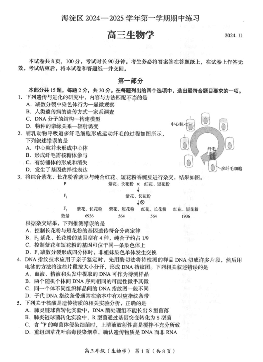 北京海淀区2024-2025学年高三上学期期中生物试题及答案