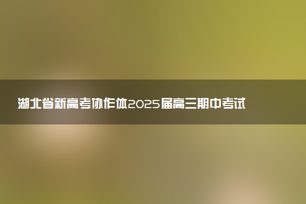 湖北省新高考协作体2025届高三期中考试试题及答案汇总