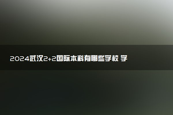 2024武汉2+2国际本科有哪些学校 学历认可吗