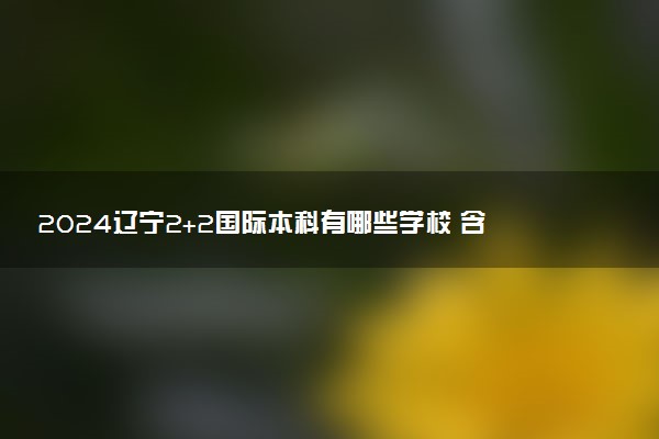 2024辽宁2+2国际本科有哪些学校 含金量高吗