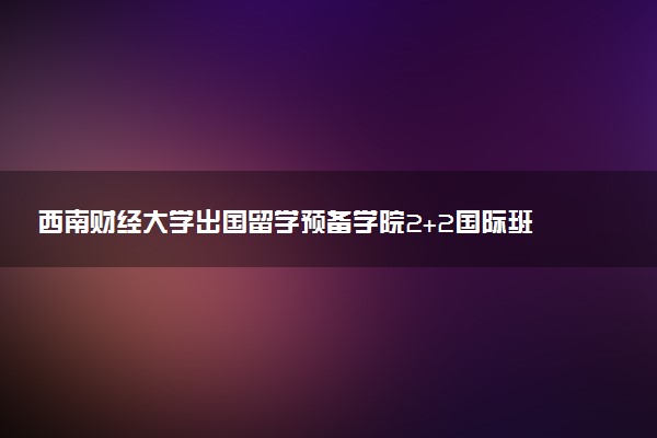 西南财经大学出国留学预备学院2+2国际班本科招生