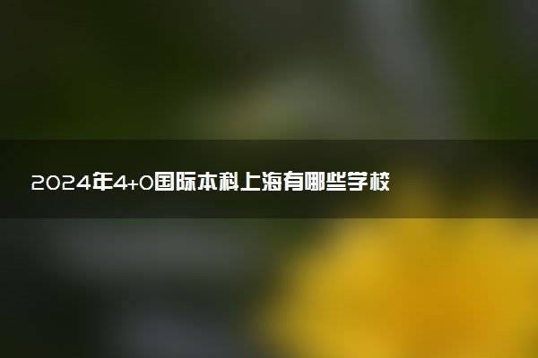 2024年4+0国际本科上海有哪些学校 哪所院校好