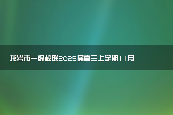 龙岩市一级校联2025届高三上学期11月期中试题及答案汇总