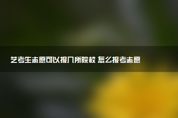 艺考生志愿可以报几所院校 怎么报考志愿