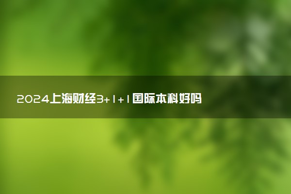 2024上海财经3+1+1国际本科好吗 读完有什么用