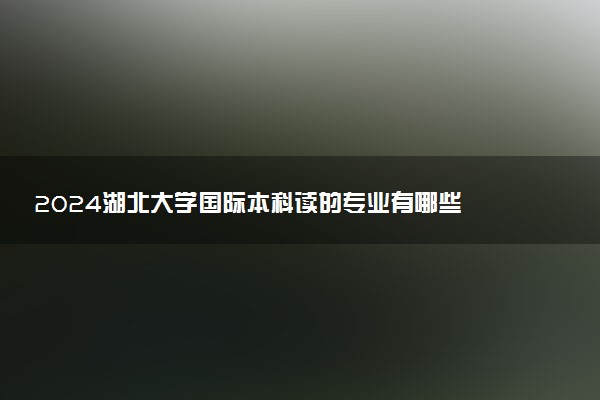 2024湖北大学国际本科读的专业有哪些 含金量咋样