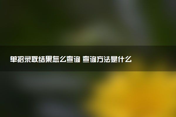 单招录取结果怎么查询 查询方法是什么