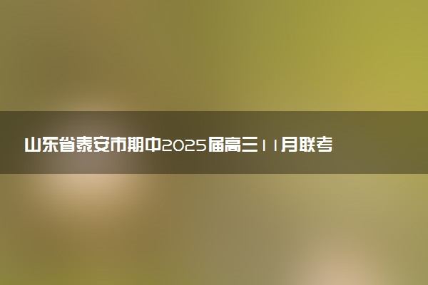 山东省泰安市期中2025届高三11月联考试题及答案汇总