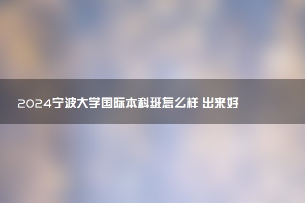 2024宁波大学国际本科班怎么样 出来好就业吗