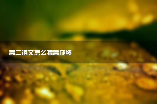 高二语文怎么提高成绩