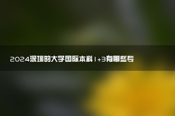 2024深圳的大学国际本科1+3有哪些专业 含金量咋样