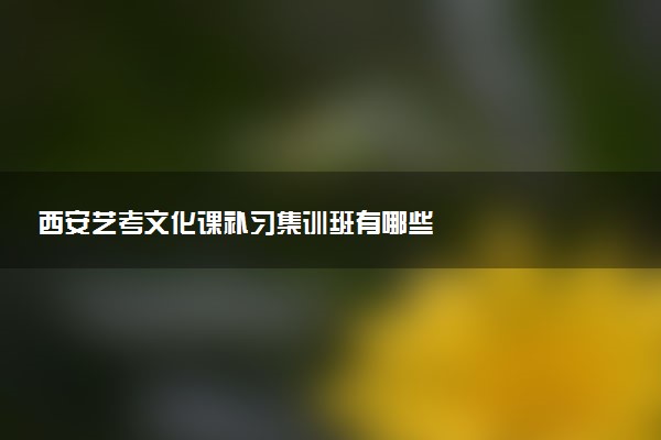 西安艺考文化课补习集训班有哪些