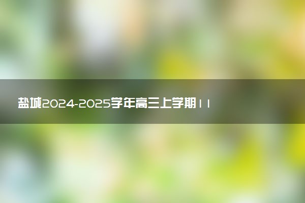 盐城2024-2025学年高三上学期11月期中试题及答案汇总