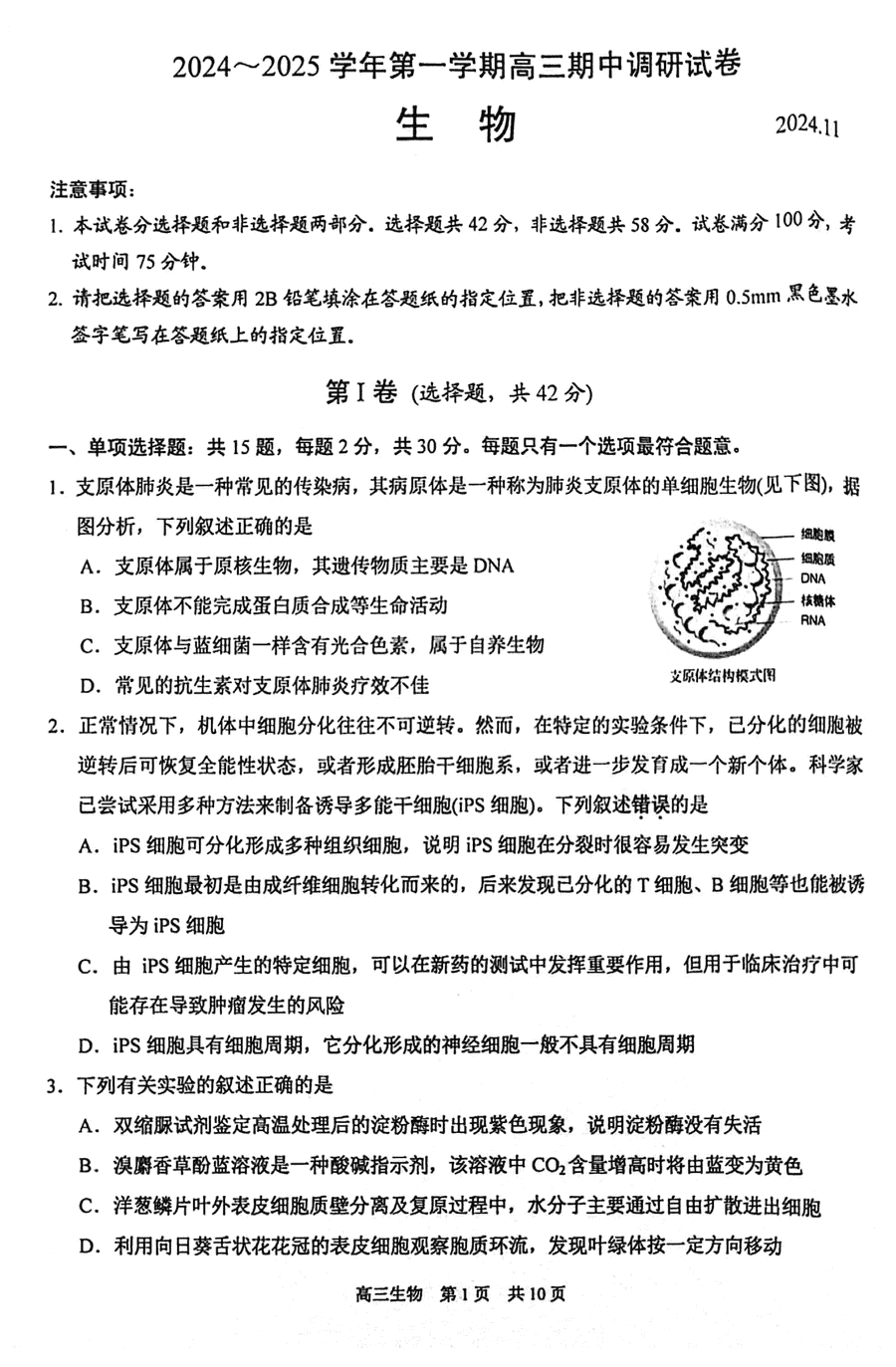 苏州2024-2025学年高三上学期11月期中生物试题及答案