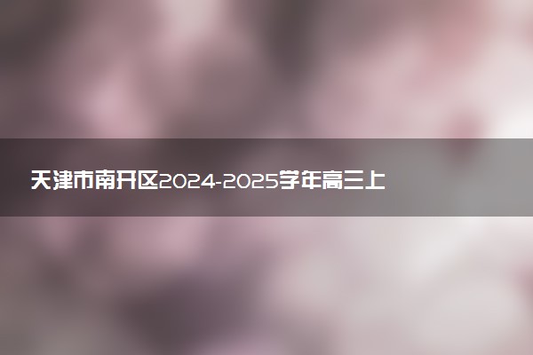 天津市南开区2024-2025学年高三上11月期中试题及答案汇总