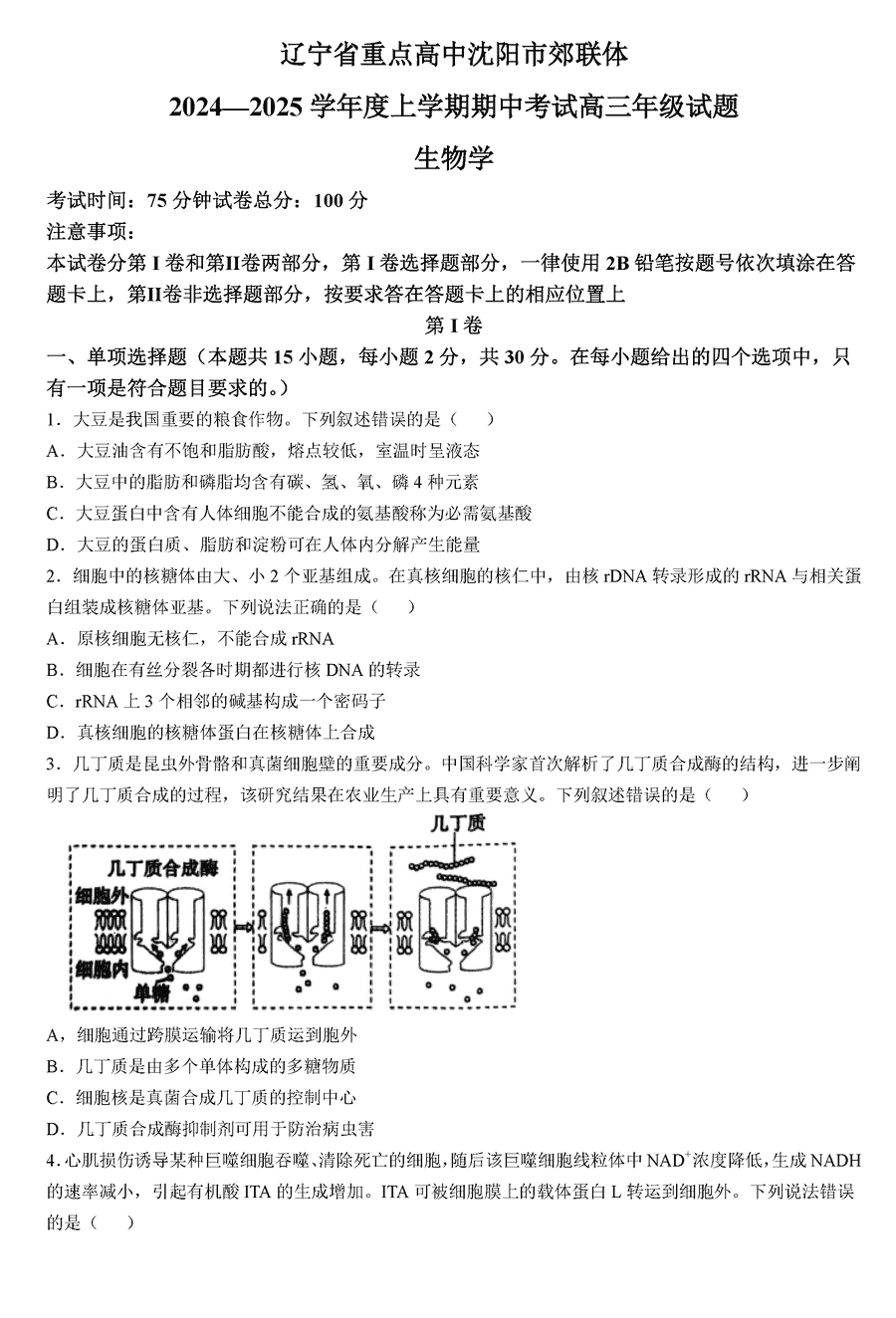 沈阳市郊联体2024-2025学年高三上11月期中生物试题及答案