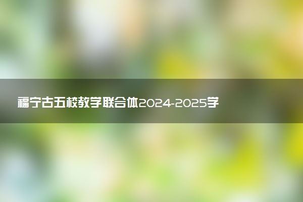 福宁古五校教学联合体2024-2025学年高一上学期期中试题及答案汇总