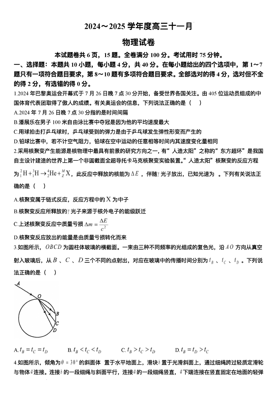 武汉江岸区2025届高三上学期11月调研物理试题及答案