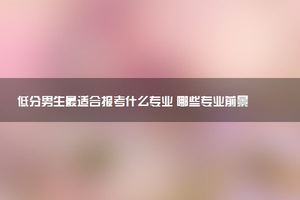 低分男生最适合报考什么专业 哪些专业前景广阔