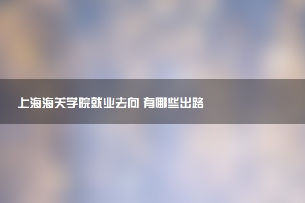 上海海关学院就业去向 有哪些出路