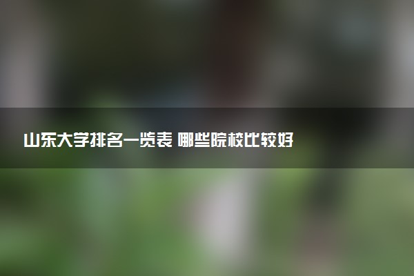 山东大学排名一览表 哪些院校比较好