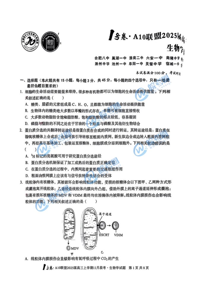 安徽A10联盟2025届高三11月联考生物试题及答案