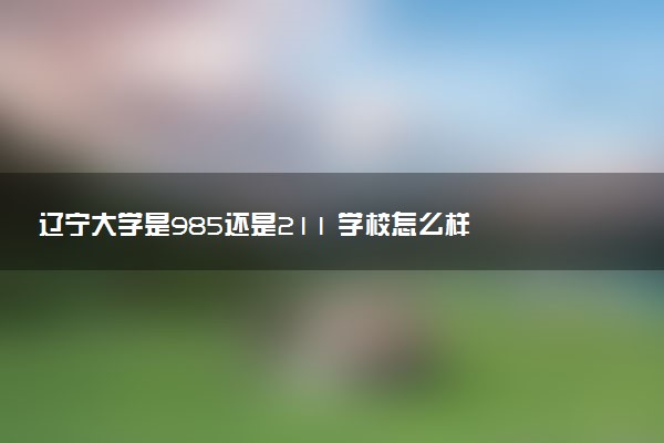 辽宁大学是985还是211 学校怎么样