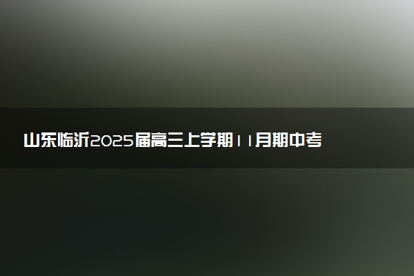 山东临沂2025届高三上学期11月期中考试试题及答案汇总