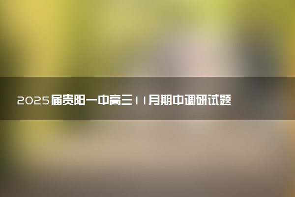 2025届贵阳一中高三11月期中调研试题及答案汇总