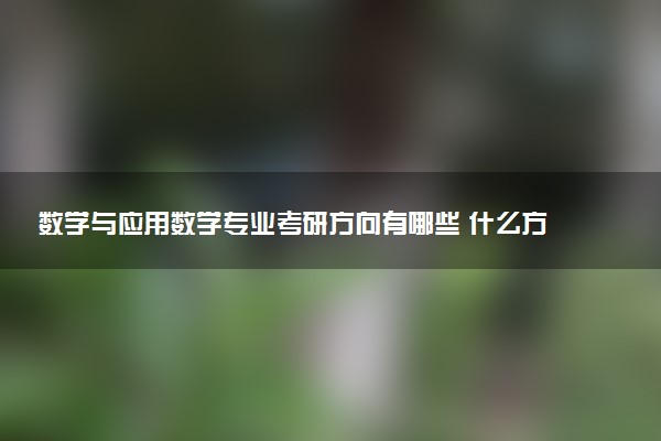 数学与应用数学专业考研方向有哪些 什么方向好