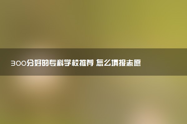 300分好的专科学校推荐 怎么填报志愿