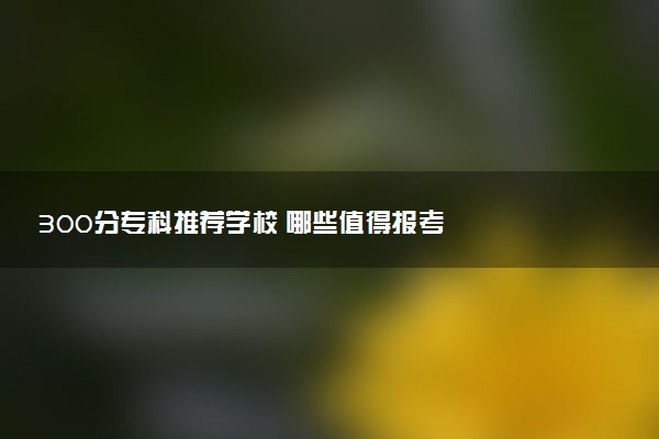 300分专科推荐学校 哪些值得报考