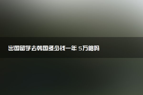 出国留学去韩国多少钱一年 5万够吗