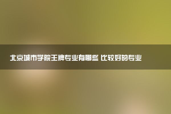 北京城市学院王牌专业有哪些 比较好的专业推荐