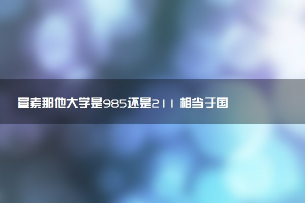 宣素那他大学是985还是211 相当于国内什么大学