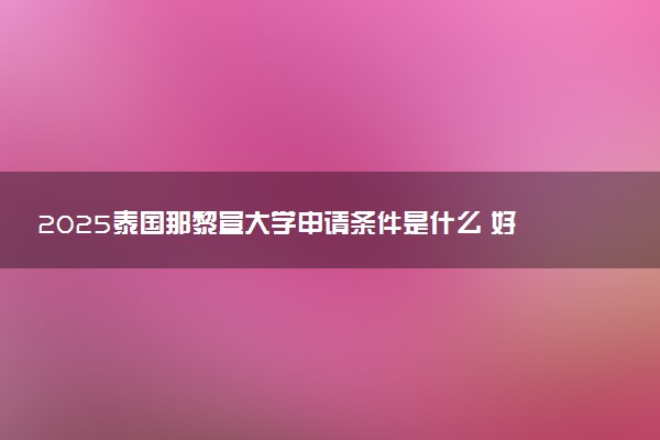 2025泰国那黎宣大学申请条件是什么 好考吗