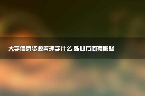 大学信息资源管理学什么 就业方向有哪些