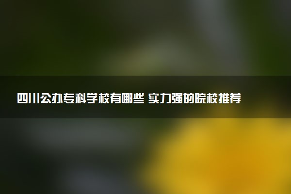 四川公办专科学校有哪些 实力强的院校推荐