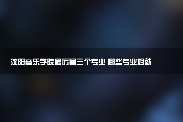 沈阳音乐学院最厉害三个专业 哪些专业好就业