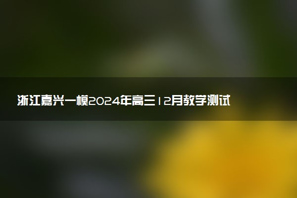 浙江嘉兴一模2024年高三12月教学测试试题及答案汇总