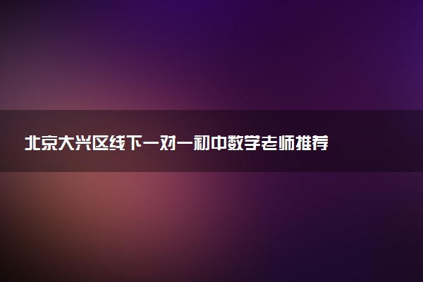 北京大兴区线下一对一初中数学老师推荐