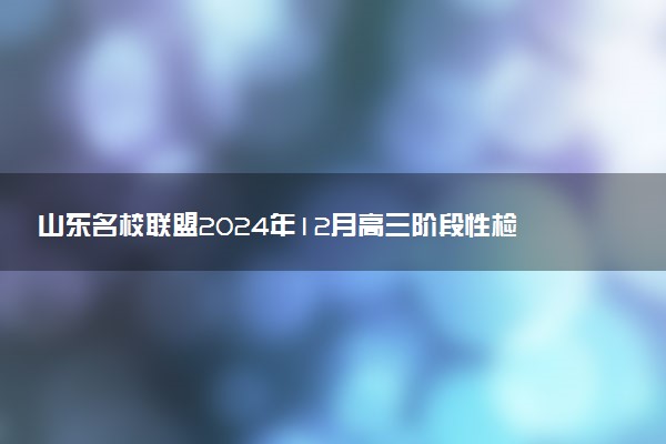 山东名校联盟2024年12月高三阶段性检测各科试题及答案