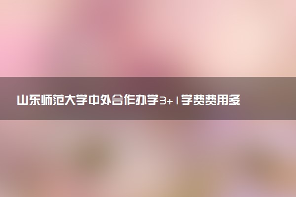 山东师范大学中外合作办学3+1学费费用多少一年