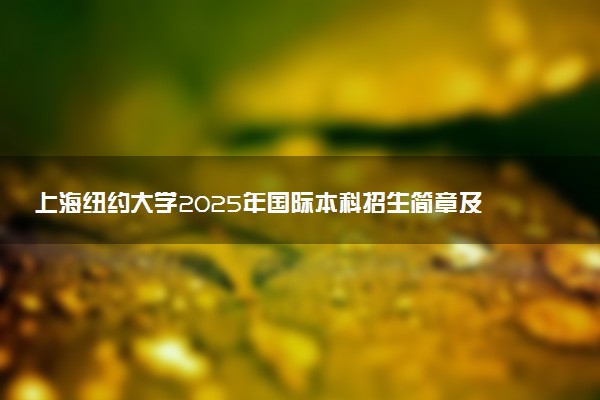 上海纽约大学2025年国际本科招生简章及学费