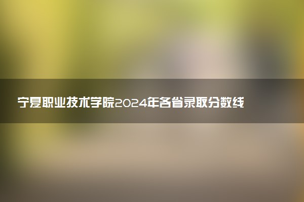 宁夏职业技术学院2024年各省录取分数线 多少分能考上