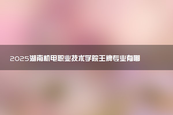 2025湖南机电职业技术学院王牌专业有哪些 什么专业好