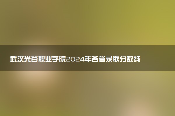 武汉光谷职业学院2024年各省录取分数线 多少分能考上