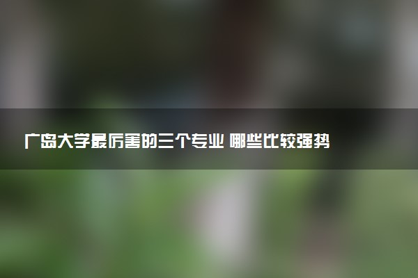 广岛大学最厉害的三个专业 哪些比较强势