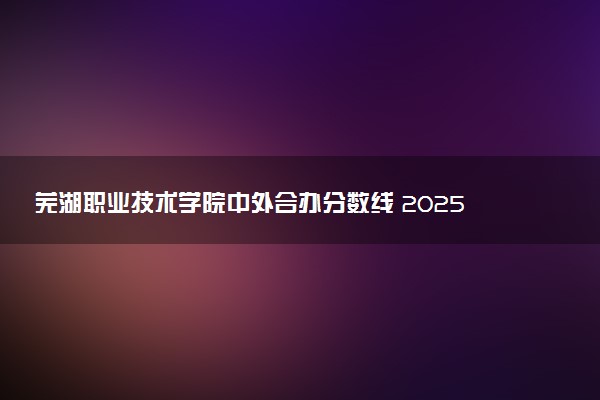 芜湖职业技术学院中外合办分数线 2025多少分能录取