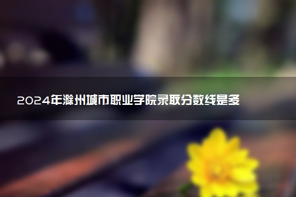 2024年滁州城市职业学院录取分数线是多少 各省最低分数线及位次